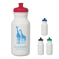 Evolve‰ă˘ 20 Oz. Water Bottle