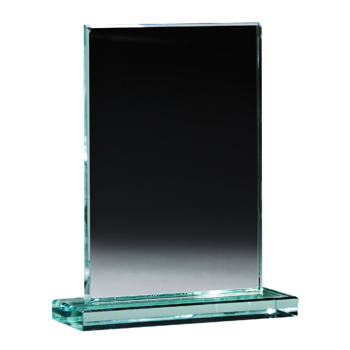 Medium Glass Award-HIT
