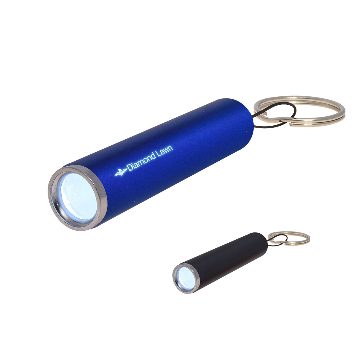 Ray Light Up LED Flashlight