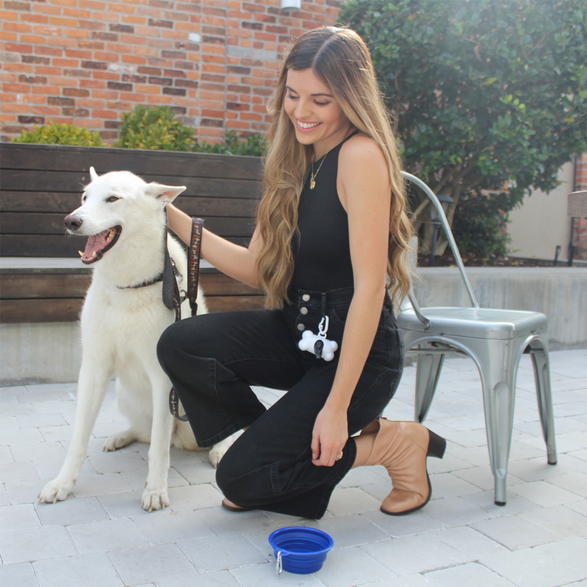 Collapsible Pet Bowl 15