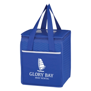 Non woven cooler bag on sale