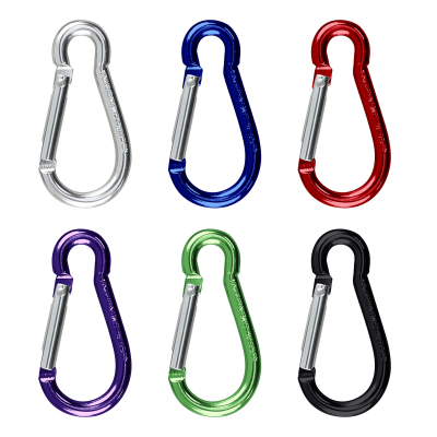 Optional Carabiner