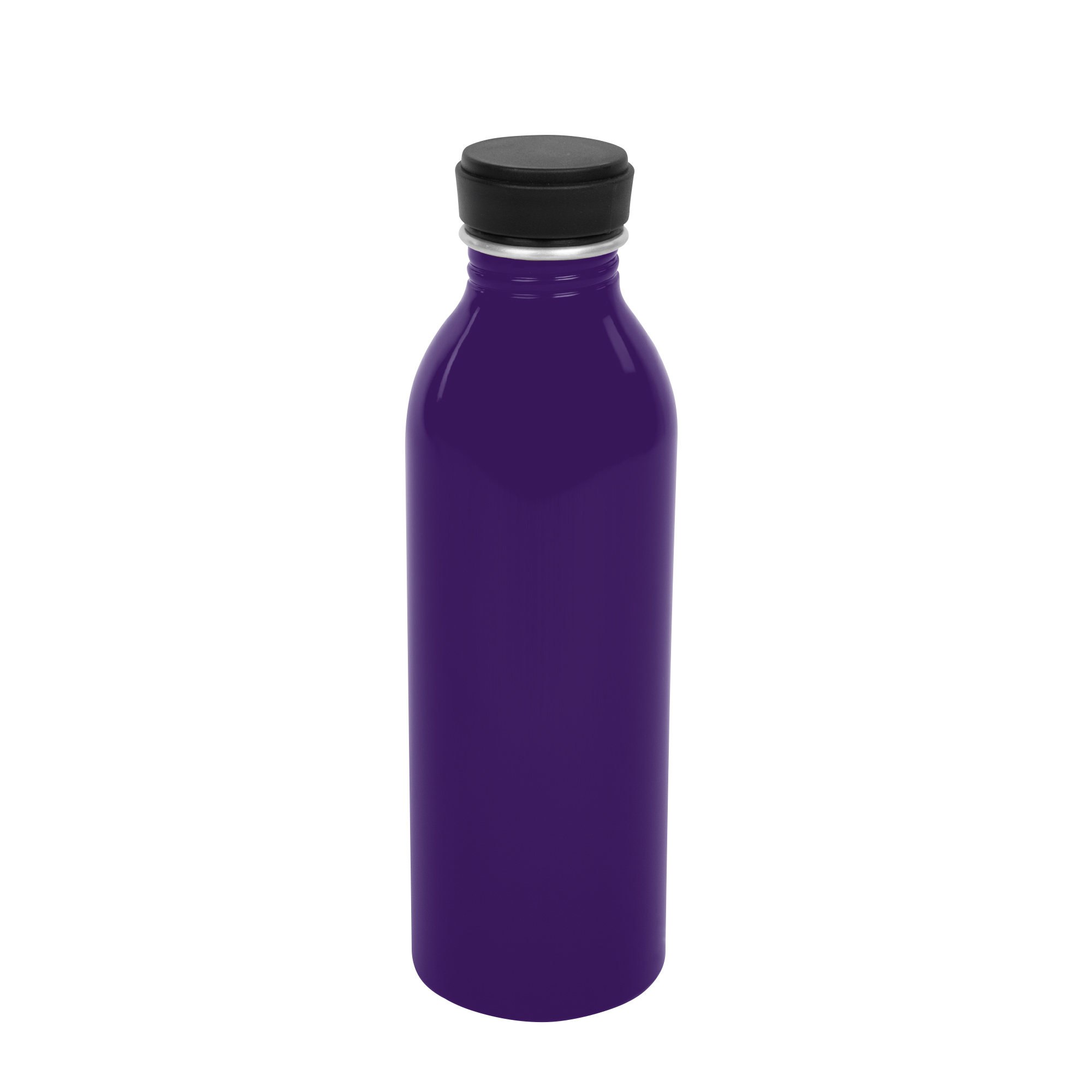 17 Oz&#46; Aluminum Colby Bottle-HIT