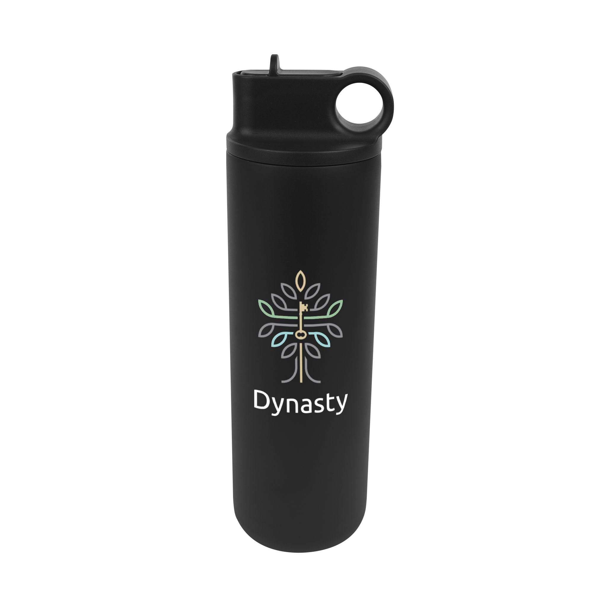 27 Oz. Roanoke Stainless Steel Bottle