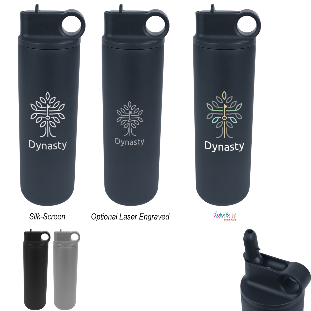 27 Oz. Roanoke Stainless Steel Bottle