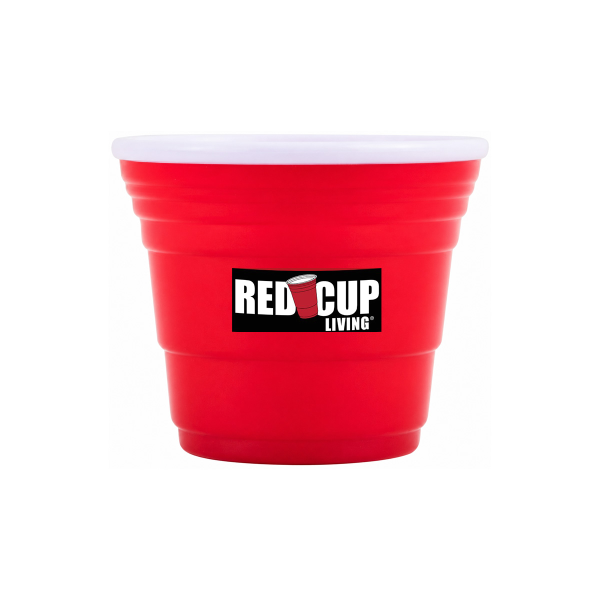 51037RED