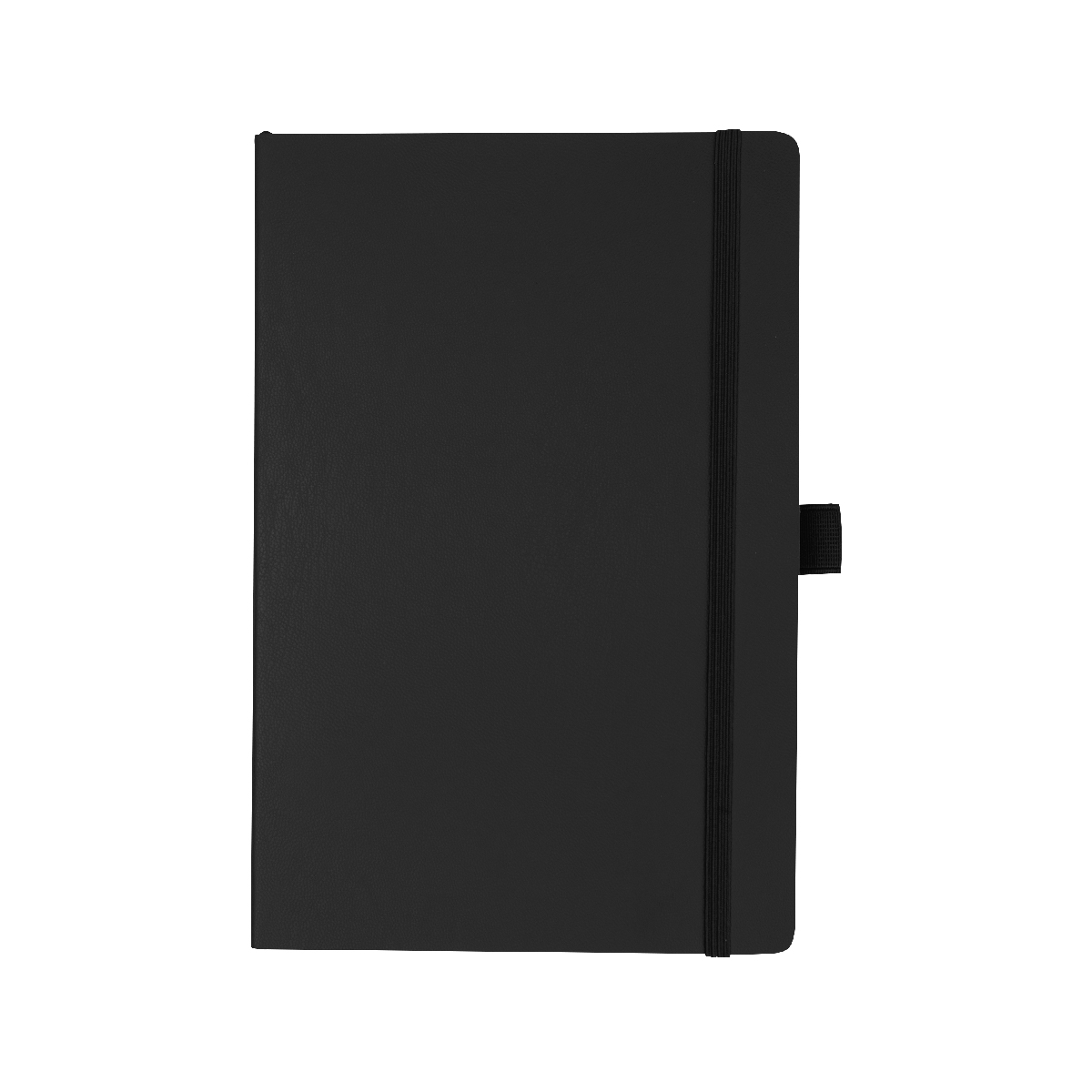 Apple Skin Journal-HIT