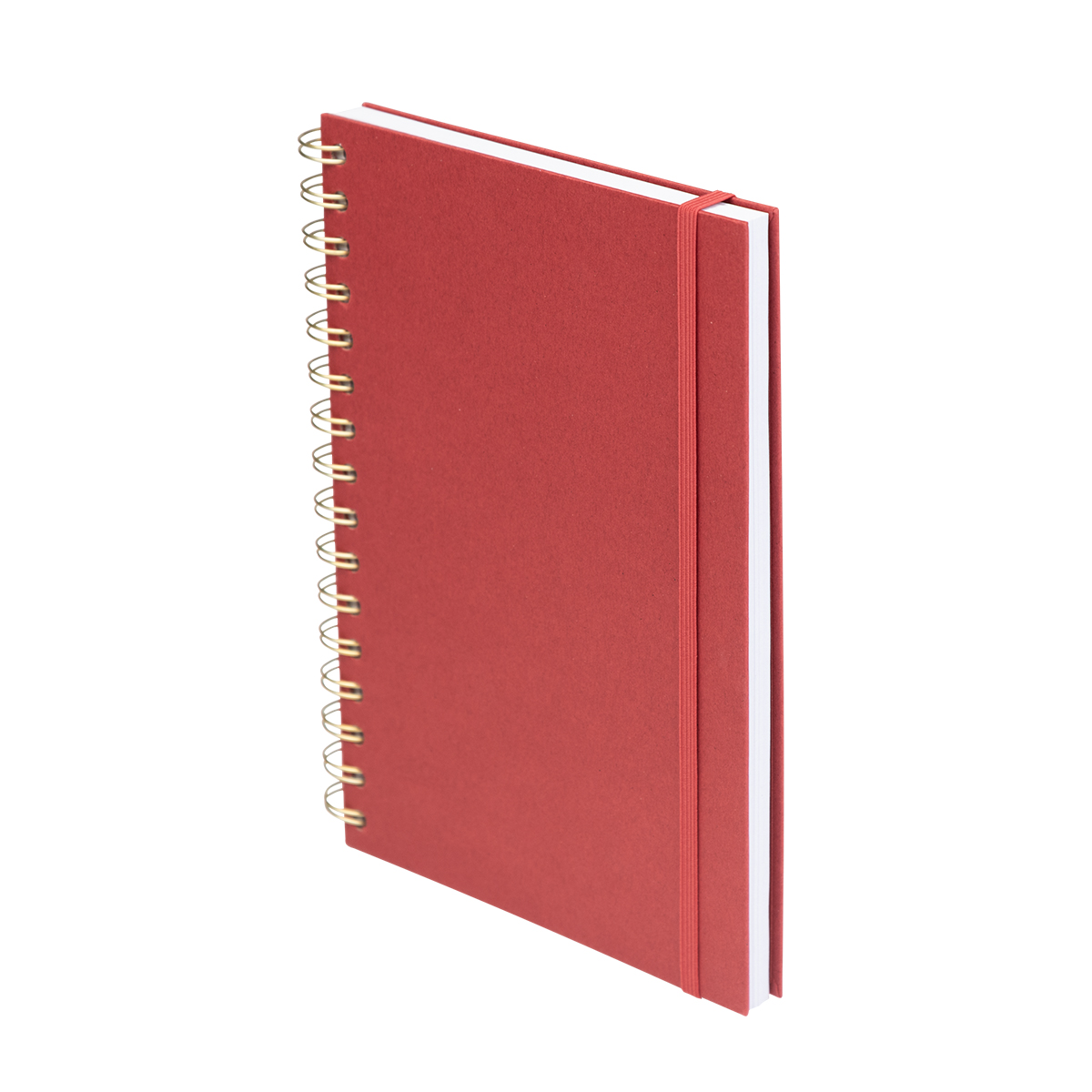 Fruit Paper Spiral Notebook-HIT