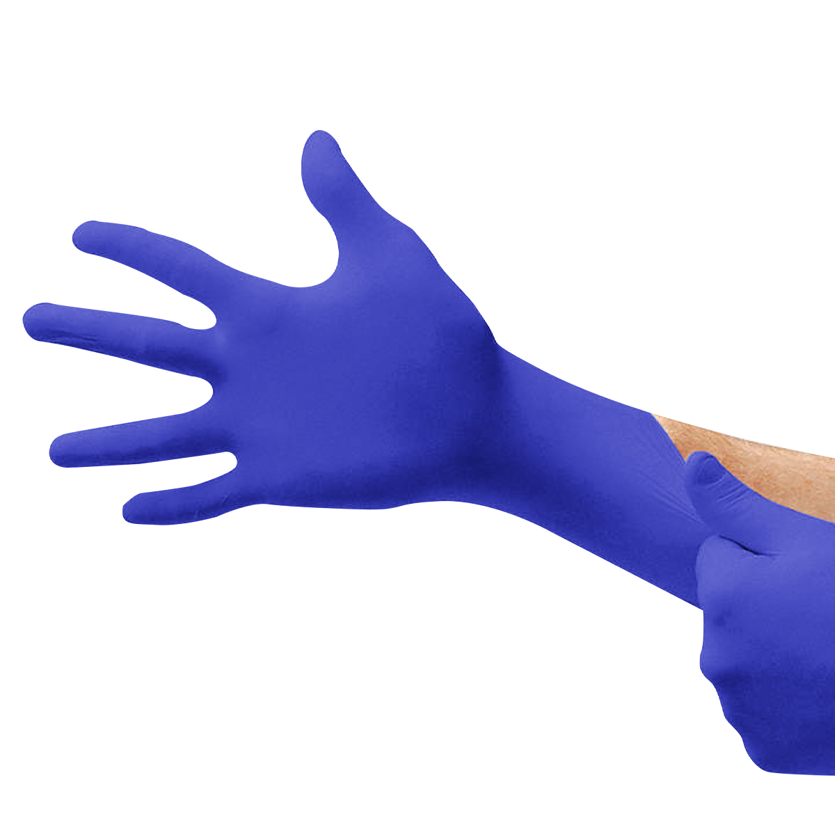 LatexFree Nitrile Gloves Chotchkes