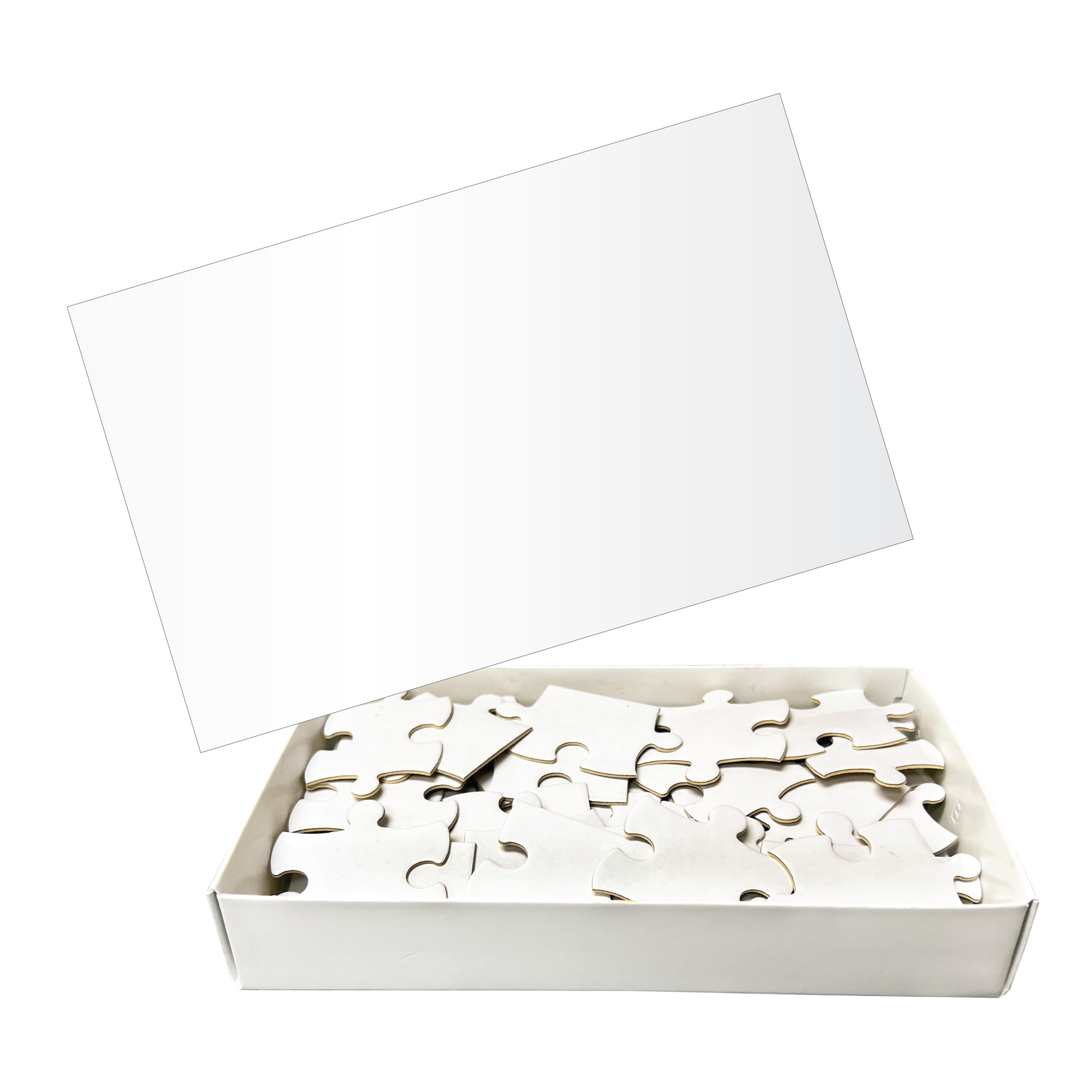 40 Pc. Full Color Jigsaw Puzzle-HIT